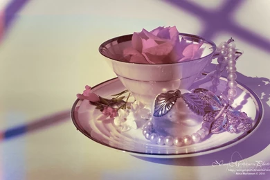 Cup Of Vintage Desktop Backgrounds   Magic4Walls.com