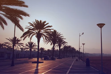 Airplane, Classic, Vintage, Toy, Desktop Background, Wallpaper, Hd