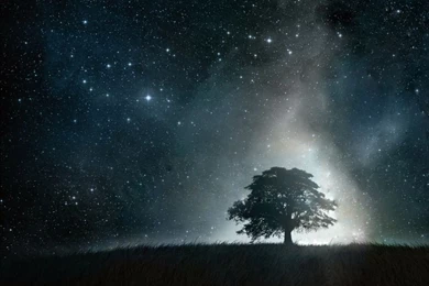 Beautiful Night Sky   Wallpaper.