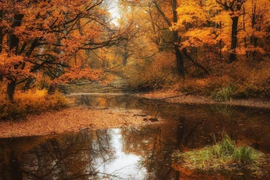 Autumn Wallpapers Hd 1920X1080   1780851