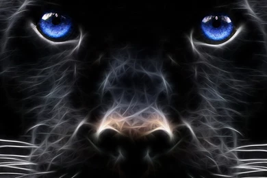 3D Wallpapers Wallpapers HD Base