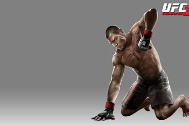 UFC High Resolution Wallpapers For Desktop   Popomypics.com