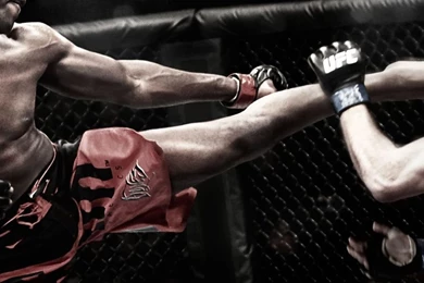 UFC iPad 1 & 2 Wallpapers