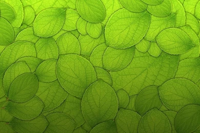 Texture iPad Wallpapers