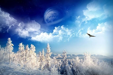 Desktop Wallpapers · Gallery · Windows 7 · Eagle In Flight