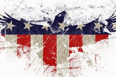 Bald Eagle Wallpapers   Digital Art Wallpapers