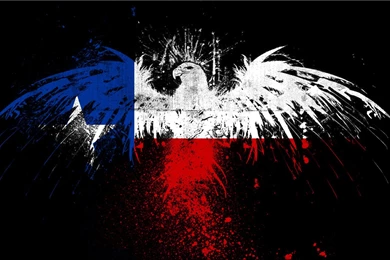 Eagle Wallpapers 1920x1200