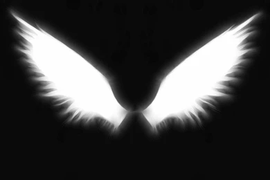 Angel Wings Backgrounds