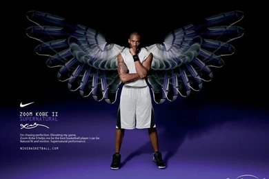 Download Free The Basketball Player Kobe Wallpaper, The Basketball ...