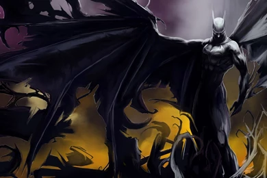 High Res Image Batman Wallpapers 569