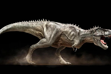 Dinosaur background_1.jpg