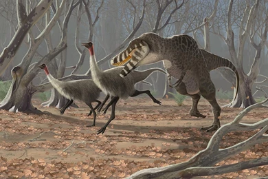 Dinosaur Computer Wallpapers, Desktop Backgrounds