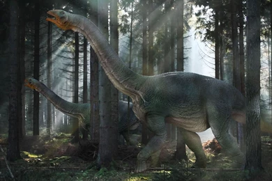 Dinosaur Computer Wallpapers, Desktop Backgrounds