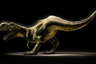 Dinosaur Computer Wallpapers, Desktop Backgrounds
