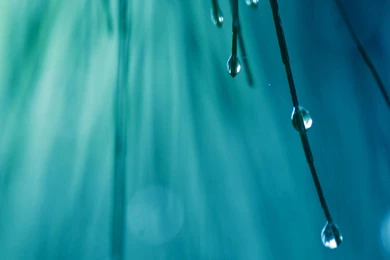 Rainy Mac Wallpapers Download