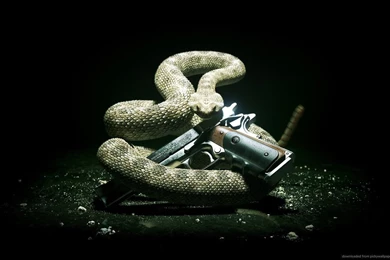 Cool Gun Backgrounds