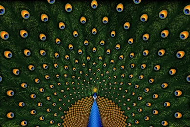 Hd Wallpapers Widescreen_hd Wallpaper_download Free Wallpapers