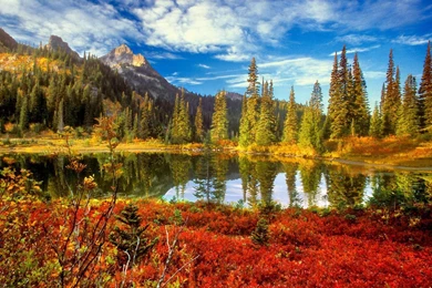 Phone Wallpapers: The Best Hd Wallpapers For Mac