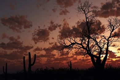 High Quality Images, Hd Desktop Images, Natural, Landscape, Cool ...