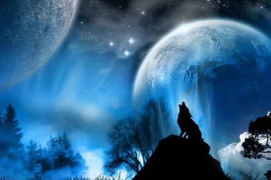 Wolf Desktop Wallpapers   , New Wallpapers, New Wallpapers