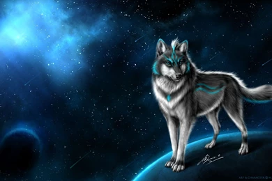 39 File Name : Best Wolf Wallpapers HD 1603 :: Wolf Hd Wallpapers