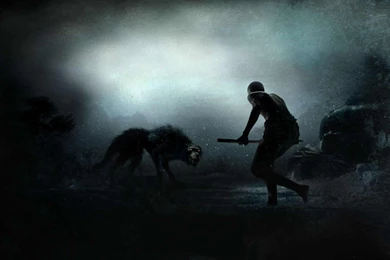 68 300 HD Wallpapers