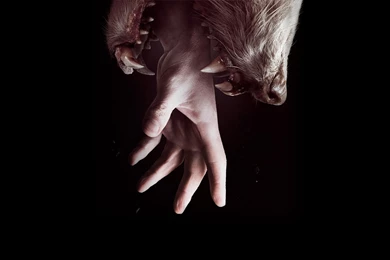 Digital Art Desktop Wallpapers