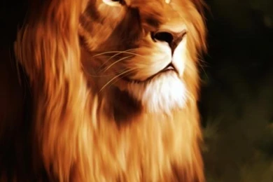 Lion Iphone 4 Wallpapers 640x960 Cell Phone Backgrounds