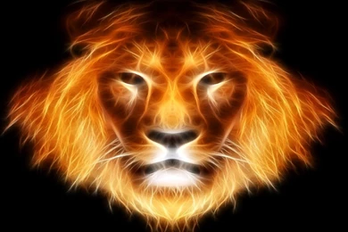 Mountain Lion wallpapers