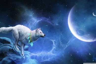 Magic White Wolf HD Desktop Wallpapers : High Definition : Mobile
