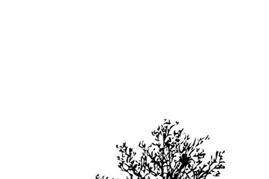 Minimalist Tree HD Desktop Wallpapers : High Definition ...