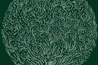 Minimalist iPhone 5s Wallpapers