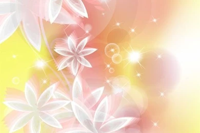 Points Of Light Backgrounds With Flowers Vector Set 02   Vector ...