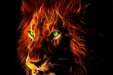 Download Free Dangerous Lion Hdwallpapers