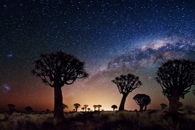Milky Way From Desert Wallpaper.