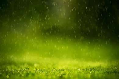 Rain Wallpapers