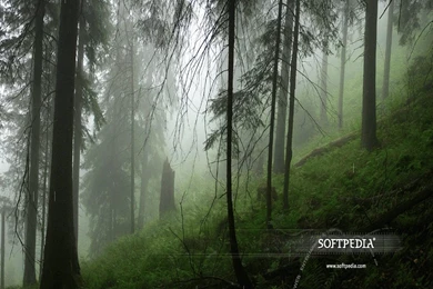 Animated Rain Wallpapers Download