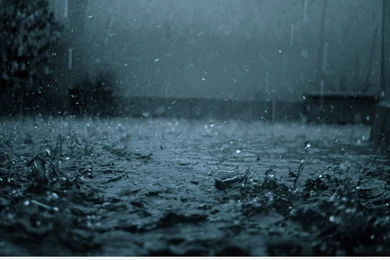 Wallpapers Rainy Autumn