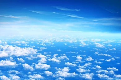 Contact Us   Dreamcloud