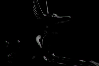 Download Artistic Egyptian Wallpapers 1920x1200