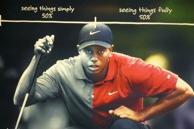 What It Takes To Be A Tiger (Tiger Woods Accenture Ad)