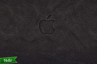 Best Iphone Wallpapers