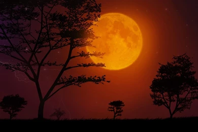Orange Moon Desktop Wallpapers