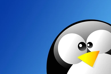 Z Wallpapers Penguin Linux   1920 X 1200   Operating System Android ...