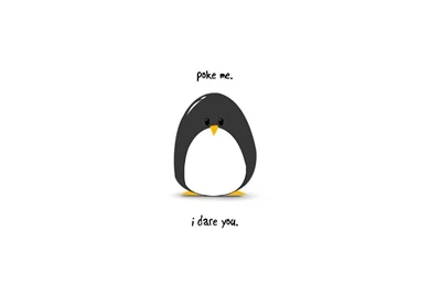 Cute Penguin Backgrounds