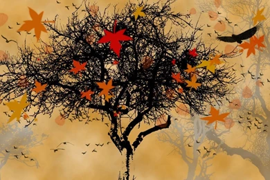 Download Autumn Leaves Tree Wallpapers