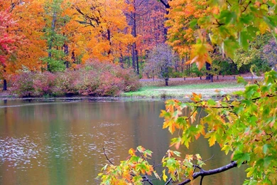 Autumn Nature Wallpapers Desktop   Wallpaper.