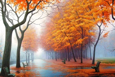 Ultra HD 4K Autumn Wallpapers HD, Desktop Backgrounds 3840x2400 ...
