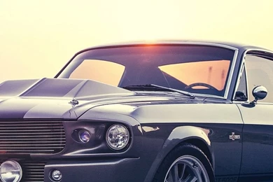 Download Wallpapers 750x1334 Ford, Shelby, Mustang, Gt500e ...