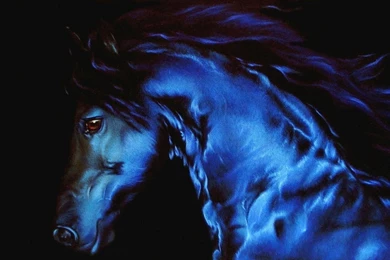 Beautiful Horse   Horses Wallpapers (22410562)   Fanpop